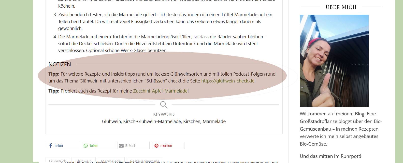 Bild = Screenshot: Der Glühwein-Check wird auf dem gemüsepott.de erwähnt